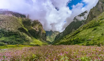 valley-of-flowers image
