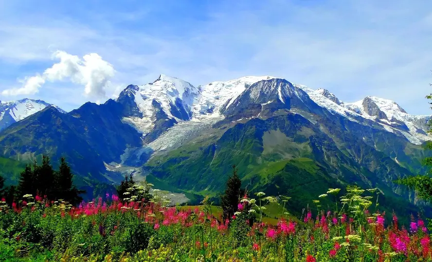 valley of flowers image