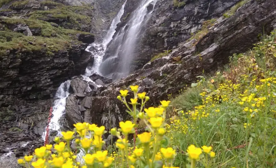 Valley of Flowers National Park