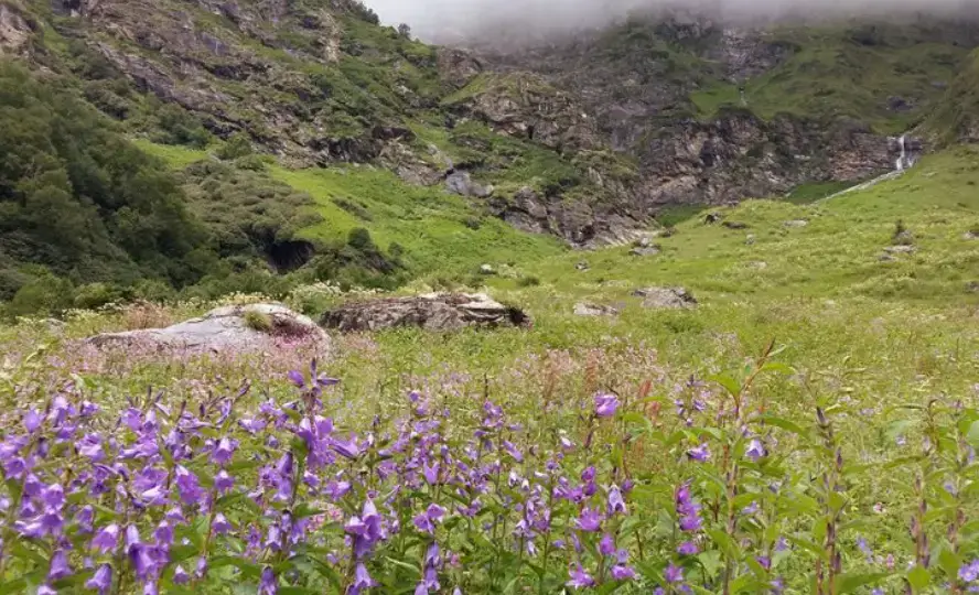 Valley of Flowers Trekking Route