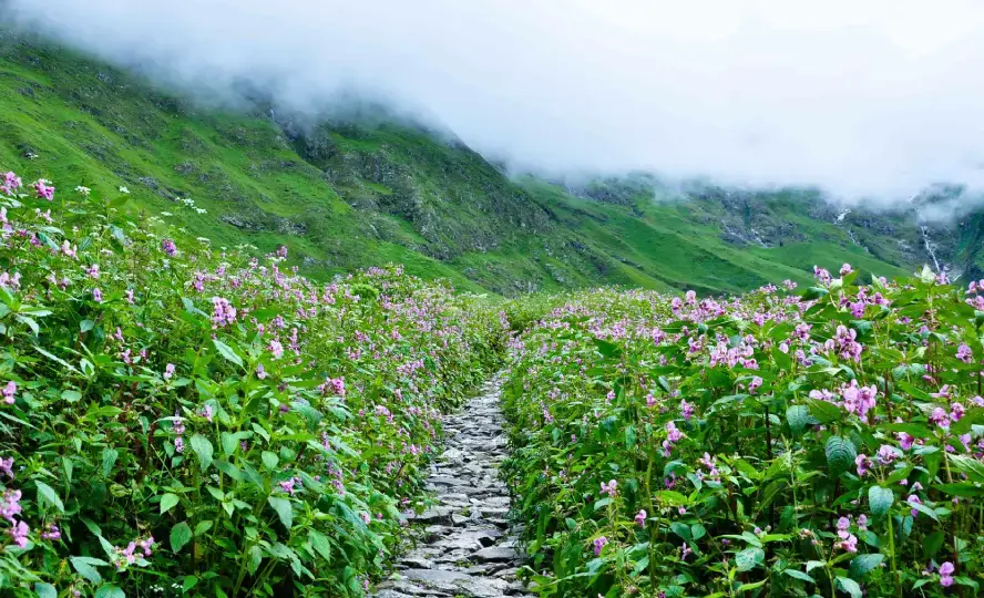 Valley of Flowers Uttarakhand